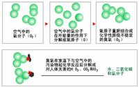 臭氧消毒器的結(jié)構(gòu)是怎樣的？