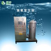 500g氧氣型臭氧發(fā)生器